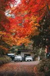 Okunikko Yumoto Onsen Yunomori - Parkplatz