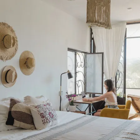 Casa Fenix