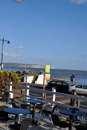 Waterfront Inn Отели рядом с достопримечательностью «Шанклин в Ventnor Coastal Walk»