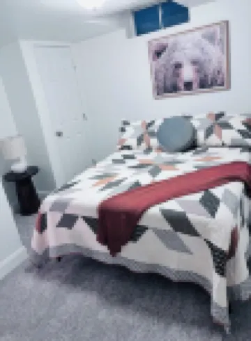 Newly Renovated Home Right in the Heart of Idaho Falls.