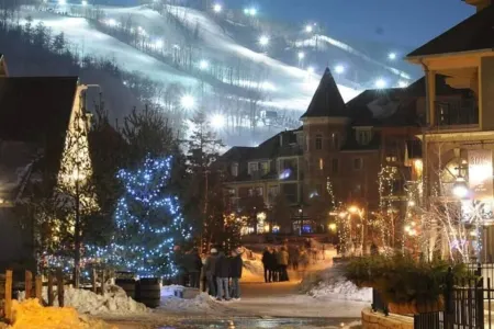 Artistic Hillside Loft