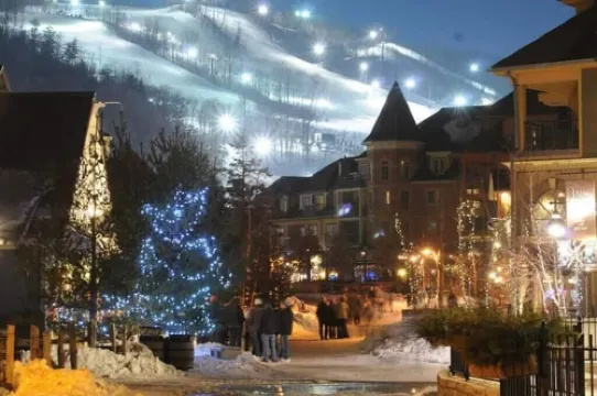 Artistic Hillside Loft