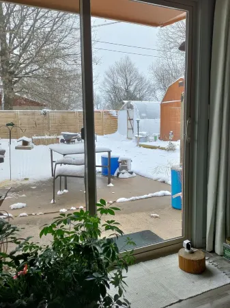 Cozy Hideaway in Town