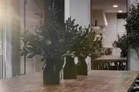 OliveBranch-LuxeDesigner Home-Spa-Firepit-GameZone