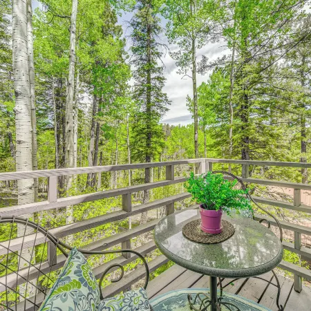Quaint Cloudcroft Cabin w/ Stunning Forest Views!