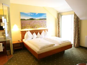 로만티크 호텔 골데네르 슈테른