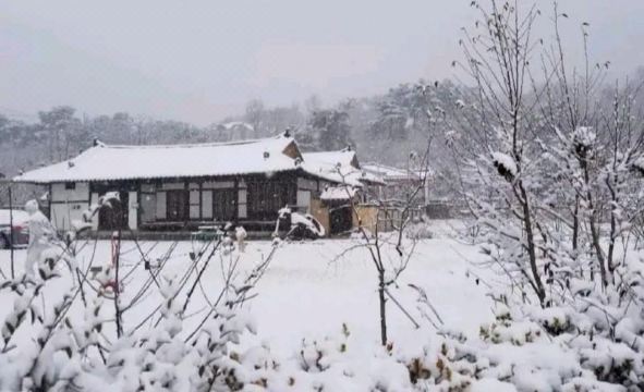 영주 서늘기문화펜션 마당 이미지