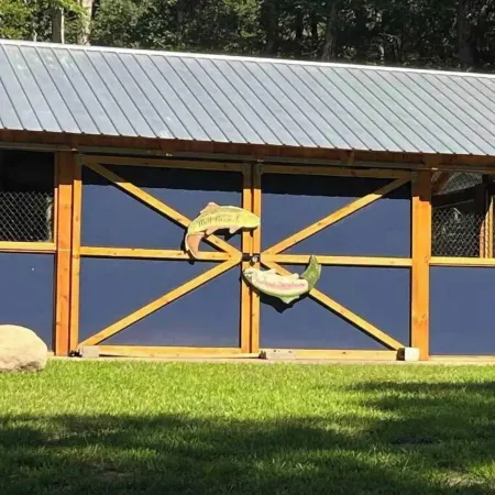 BEARADISE “Glamping Paradise”