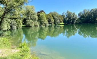 Cozy Apartment Salzburg, 50 m2, With Garden, Terrace, own Entrance, Free Parking