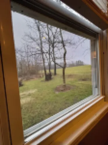 1-bedroom apartment in Mills River, NC-Close to hiking, breweries, dog friendly