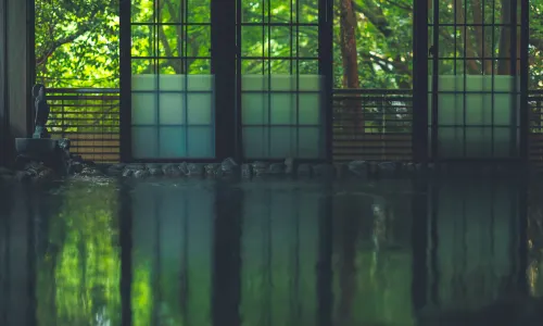 Futsukaichi Hot Spring - Daimaru Besso