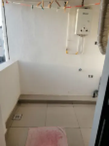 Studio lily for the summer holidays