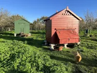 The Hay Loft at Warborne Farm