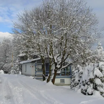 Luxurious house with winter garden, Finnish sauna, wood-burning stove Schnett-Masserberg