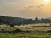 THE HOUSES ON THE HILL