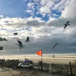 Coquet T3 50m2 Plein Sud, vue Mer, Plage à 30 m