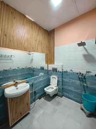 Hotel the Royal Отели в г. Барейли