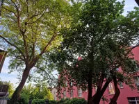 Ferienwohnung Monteurwohnung Möbliertes Appartement Zentral in Wismar