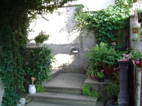 Amaca in a Green Garden