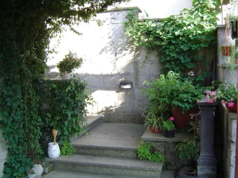 Amaca in a Green Garden