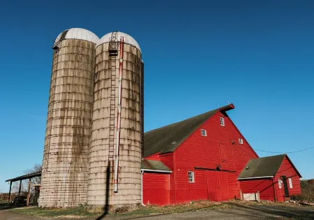 Waterfront catskills farmstay in a 19th Century historic home on an Alpaca Farm