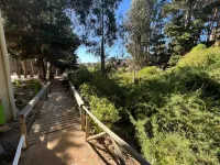 Hermoso y Acogedor Apartamento en el Tabo, Tranquilo y Agradable Hotels in El Tabo