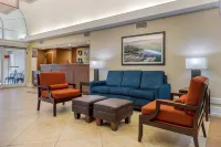 Comfort Suites Gastonia - Charlotte Hotels in Gastonia