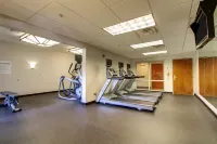 Holiday Inn Express MILWAUKEE N-BROWN DEER/MEQUON by IHG - Træningscentre