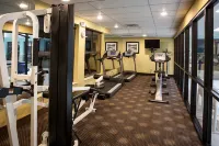Holiday Inn Express & Suites CANTON by IHG - Gym