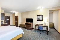 Holiday Inn Express & Suites FLORESVILLE by IHG
