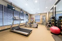 Holiday Inn Express & Suites AIKEN by IHG - Gym