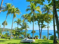 DPNY Beach Club - Ilhabela