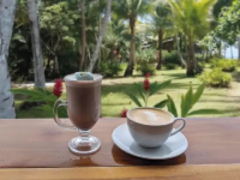 โรงแรม กาเย 6 โรงแรมในโบกาสเดลโตโร