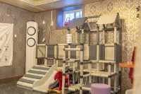 Daebudo Genesis Pension