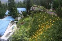 Kinabalu Pine Resort - Bãi đậu xe