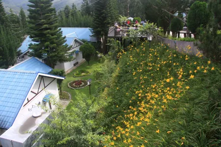 Kinabalu Pine Resort