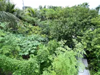 Eco Friendly Secluded OceanView Pool near Key West