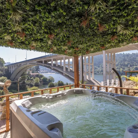 Estrelas do Douro Отели в г. Гондомар