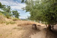 Lovely Belmont Apartment w/ Stunning Views! Hotels in Belmont