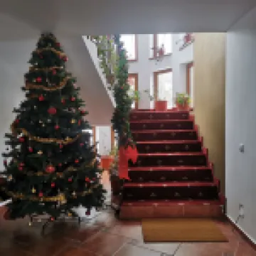 Pensiunea Rasnov Hotels in Rasnov