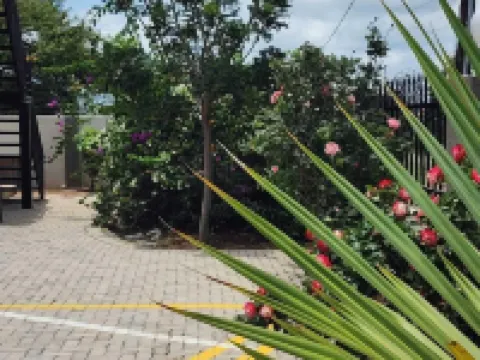 Cycad Palm Hotel Hotéis em Serowe