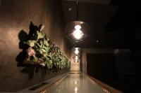 The Beehive Aioi - Villas