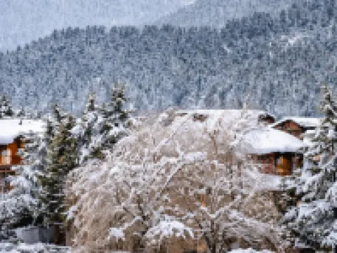 Hotel Volga Hotels in Pahalgam