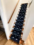 Entire cottage, walk to/from ferry & downtown, newly renovated, parking on site