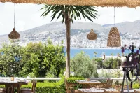 Harmony Hotel - sul mare