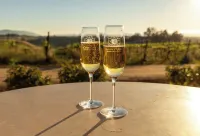 Carter Estate Winery and Resort - bar