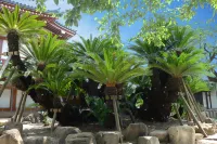 Guesthouse Sakaihigashi Niconico