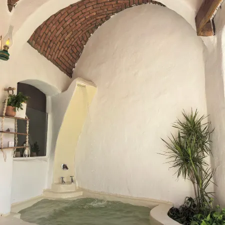 Nala Narty Nubian house and organic farm