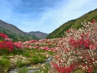 Kichiya Hotels in Achi