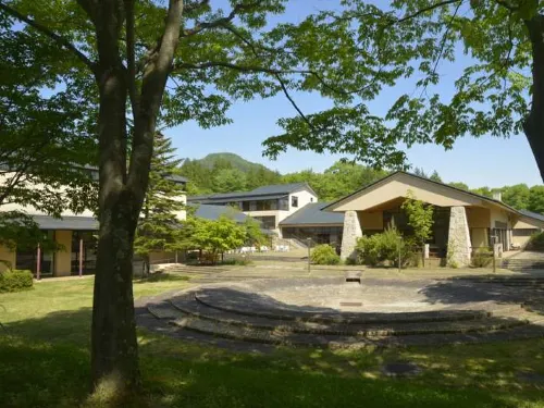 Conifer Iwabitsu - Spa
